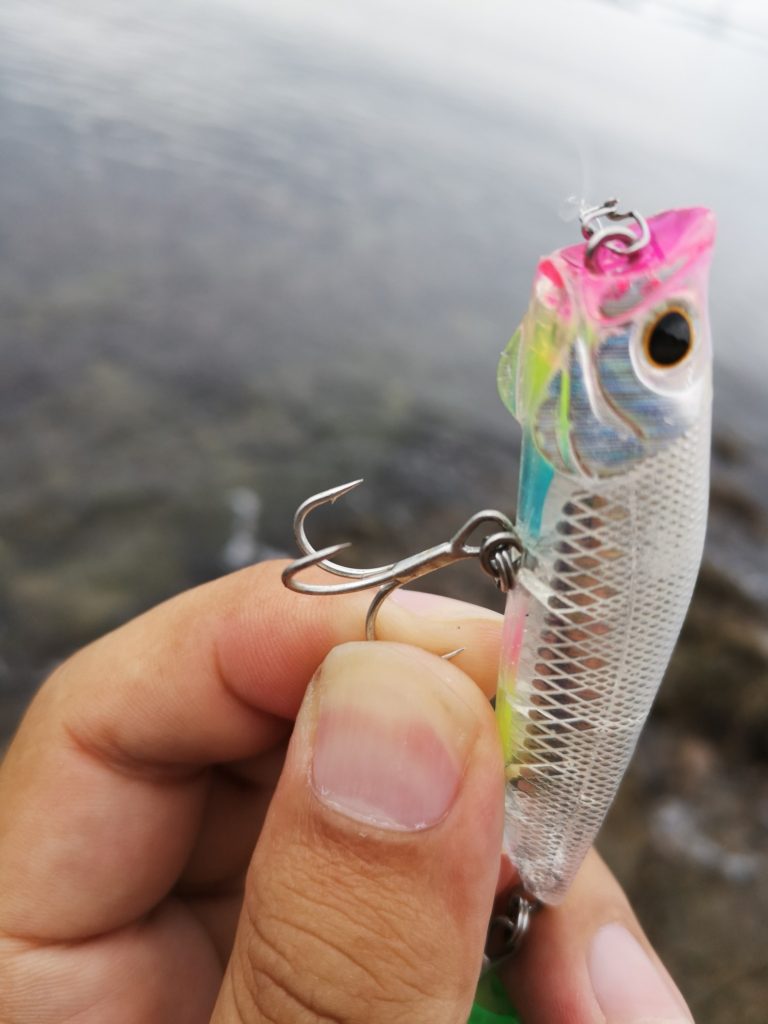 今シーズン最大サイズ！淡路島チヌトップ釣行記！ | 食う・釣る・遊ぶ