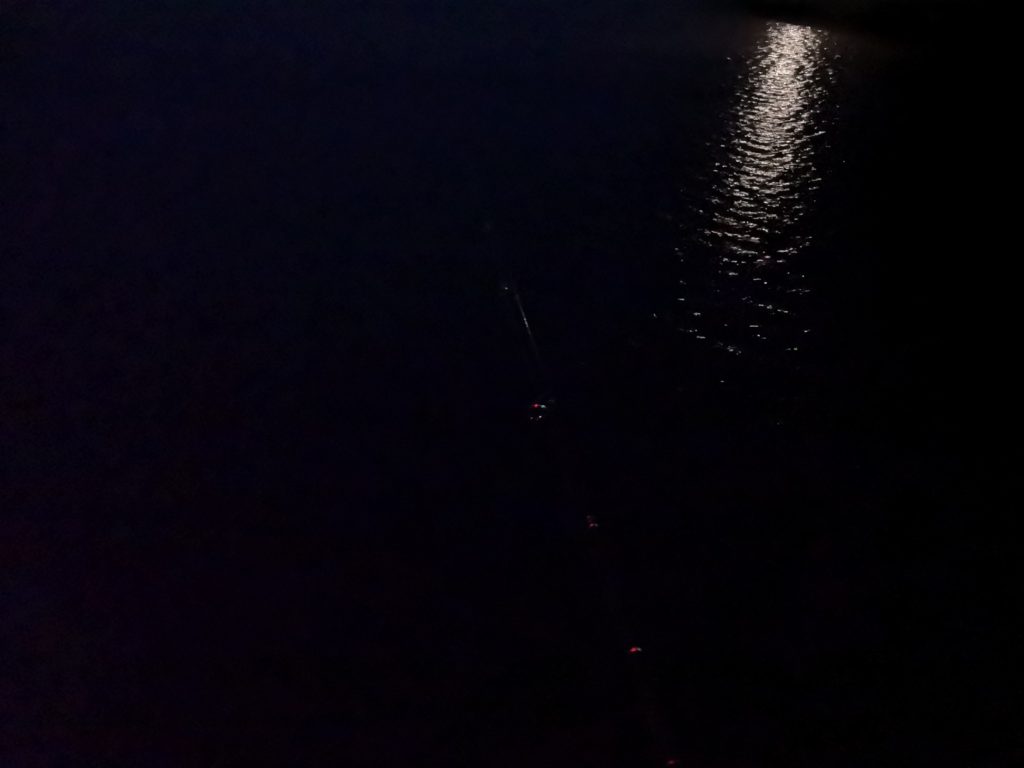 アオリイカ100gくらいが釣れた夜に反応があった港内(2018.11)