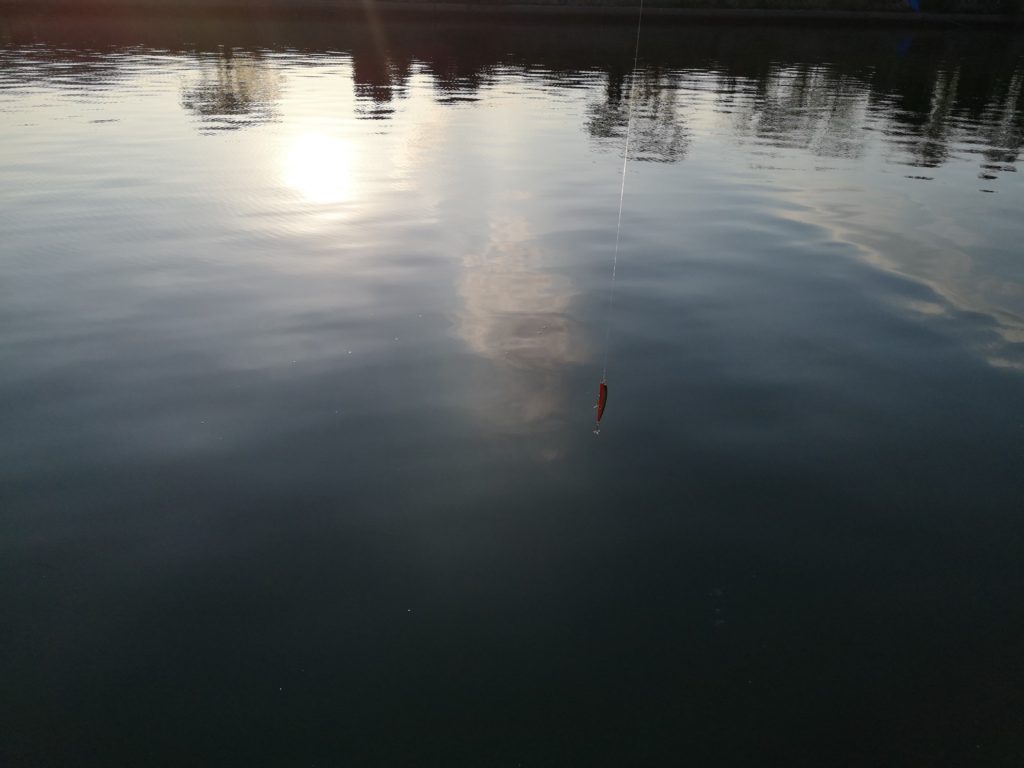 シーバス55cmを釣った川の水面とルアー