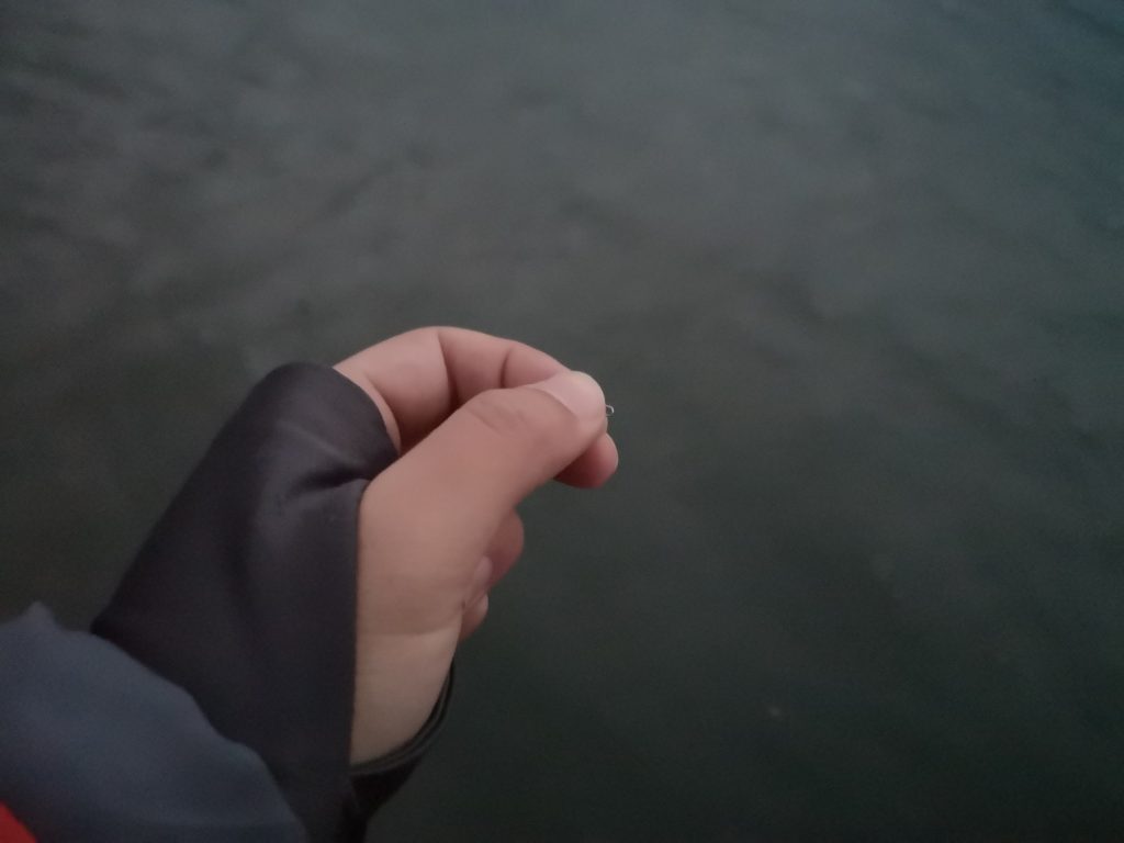 tklm80イワシレッドベリーで62cmを釣った後護岸側でラインブレイクされたときのラインと手(2018.12)