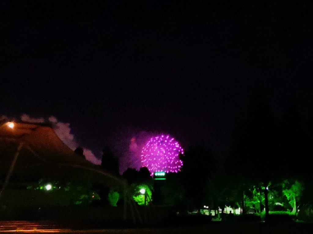 うずしおふれあい公園から見る 鳴門花火大会