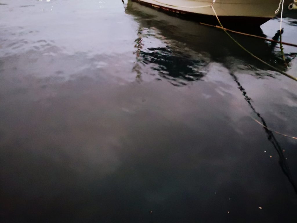 15分で12枚アジを釣った日スロープと係留船の影(2019.11)