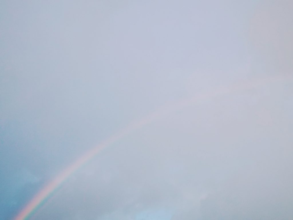 雨上がりの虹