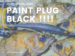 メバルプラッギングで黒しか釣れなかったときの写真paint plug black (2020.4)