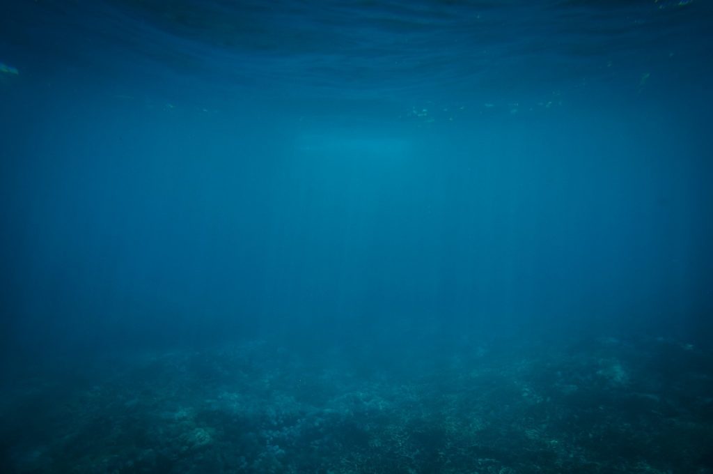 青い水中（中層）