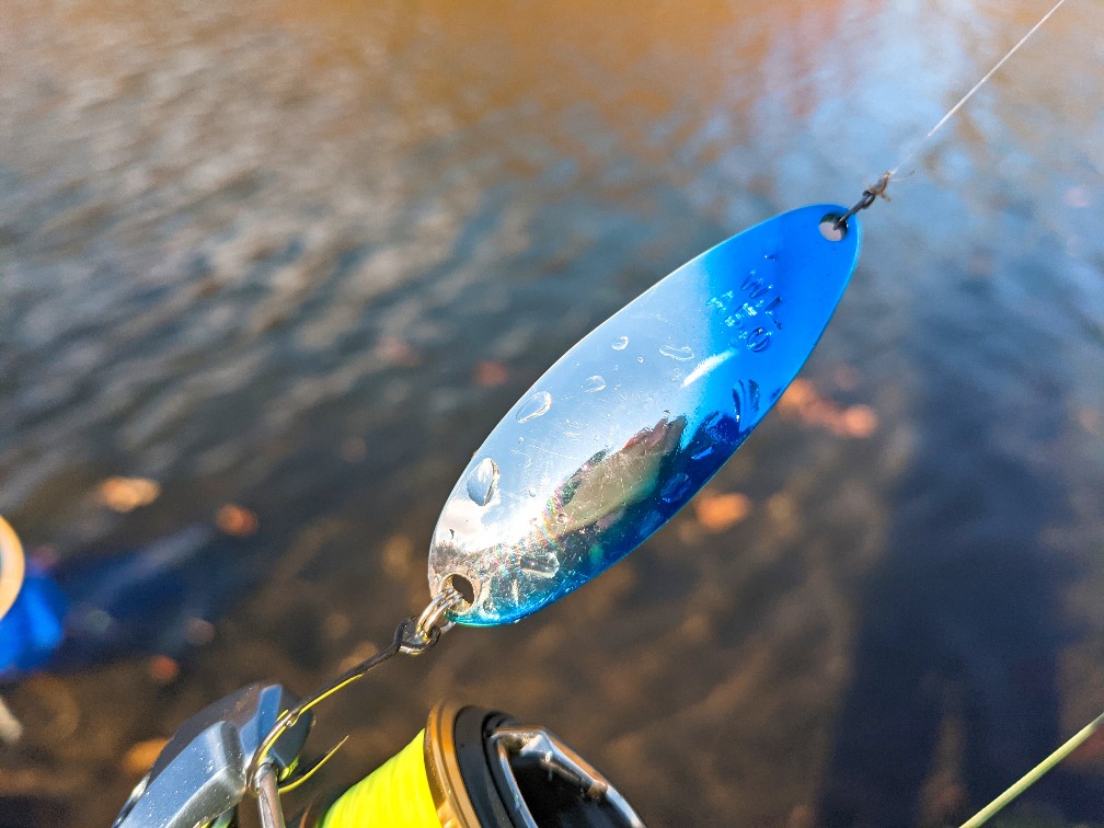 那須白河フォレストスプリングスでブラウントラウト50cmを釣ったアルミん5g青銀（2021.11)）
